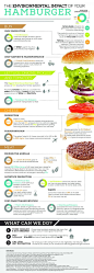 The Environmental Impact Of Your Hamburger Infographic