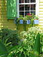 window box | Gardening that I love | Pinterest