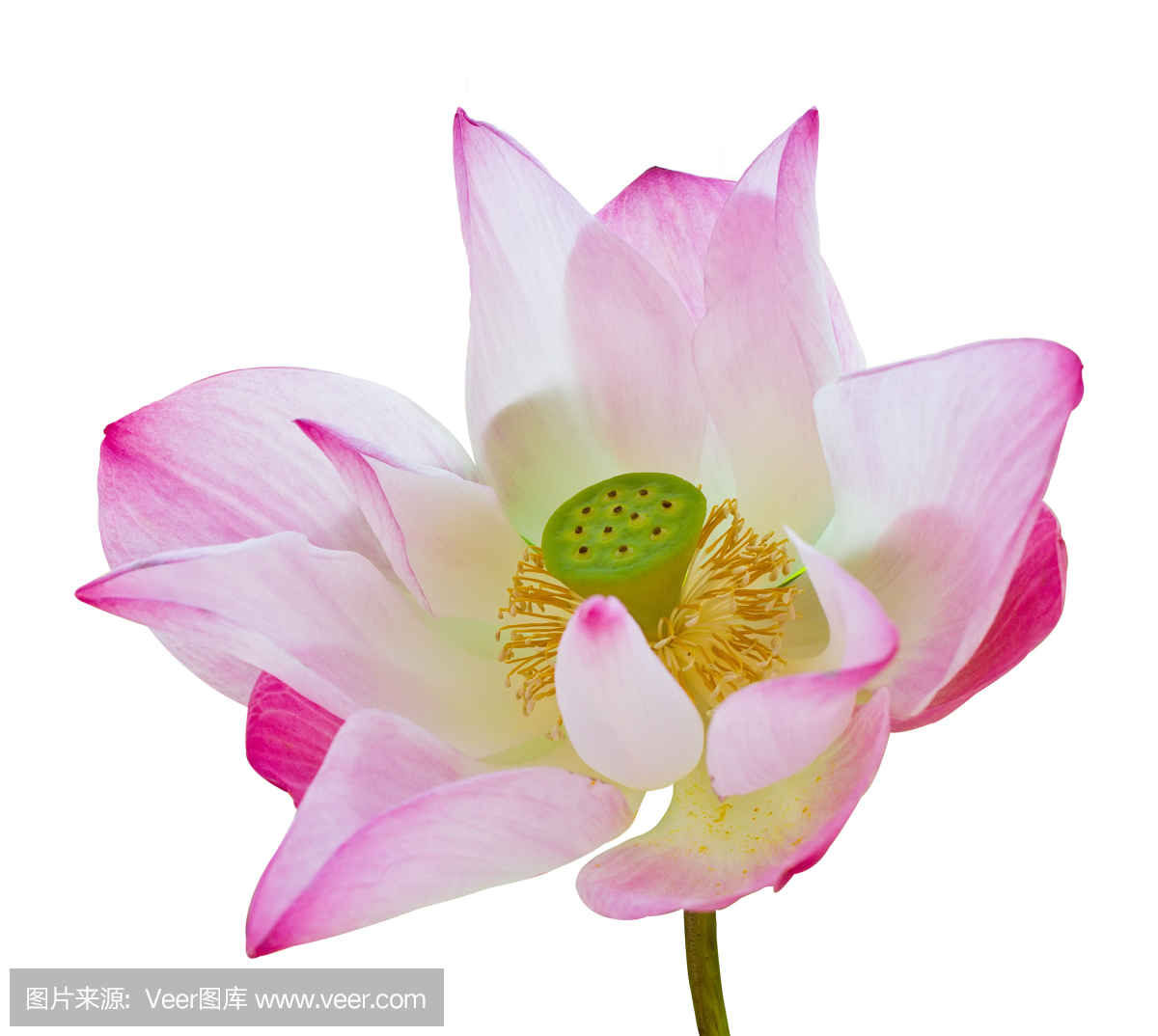 c8f84ce92db8ebb38dfa2c9b8749b2e1b98551d56e4bd-PqA1jT