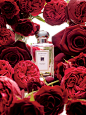 Jo Malone™ Red Roses Cologne