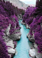 紫色幻境~苏格兰斯凯岛