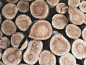 Wood! by Alberto Yebra Ramos on 500px