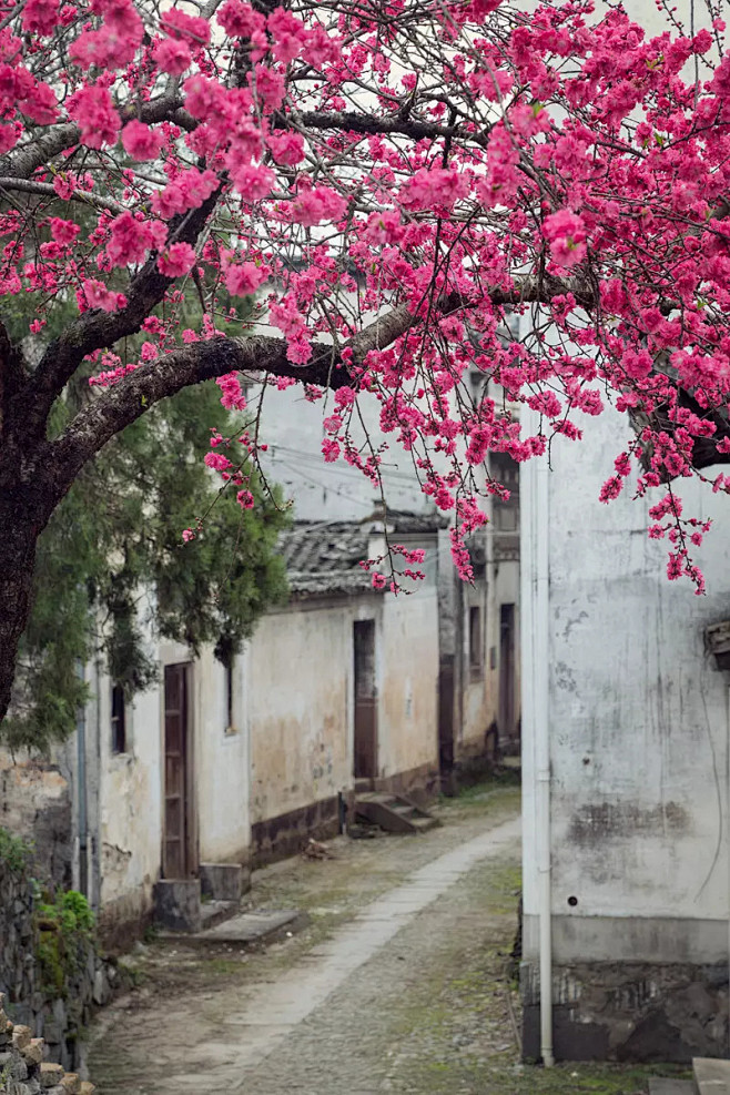  路边—新安江畔