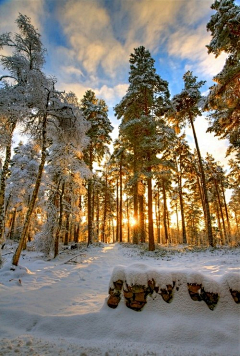 如沐春风20122012采集到雪景