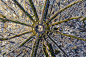 震撼航拍影像：俯瞰巴黎凯旋门。