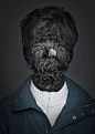 Underdogs by Sebastian Magnani