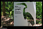 新加坡双溪布洛湿地公园_百度图片搜索