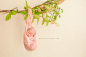 Rhode Island Newborn & Child Photographer | Elan Studio
