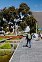 TCL_Monash-Uni-Caulfield-Campus-Green_Andrew-Lloyd-08 « Landscape Architecture Works | Landezine