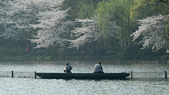 系梦Shannon采集到【场景】风景/山水/自然