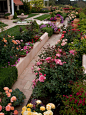 A Rosarian's Dream Garden : Our Design ChallengeThis client's back yard was dominated by a moth gopher eaten lawn, some unloved foundation plantings and a few valiant, care-worn roses. In answer to her plea for a gopher- and