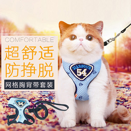 猫咪胸背带套装 拴猫绳溜猫绳子猫牵引绳猫...