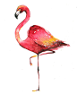 Flamingo and Whale :  water color pattern works