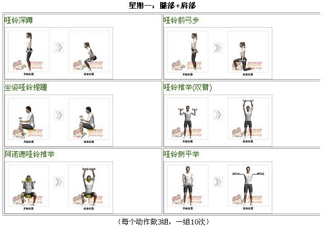 （ 全套哑铃健身计划系列，适合各种人群的...