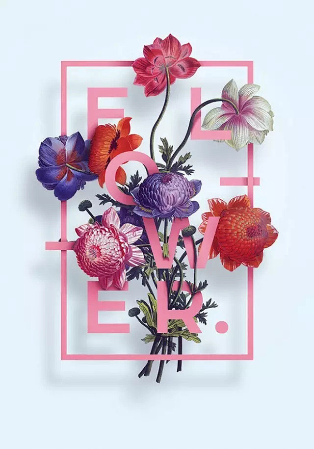 【排版设计】这些花和文字的组合真的很美