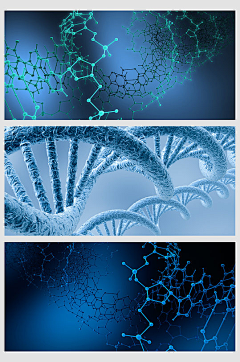 卡片H采集到分子