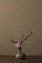 2012年4月13日（金）
一枝ながら「百花の春」です。
花＝唐桃（カラモモ）
器＝高麗青磁堆白油壺（高麗時代）