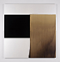 Callum Innes - Artists - Kerlin Gallery