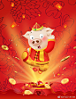 一套猪年卡通动漫形象猪海报设计素材模板源文件可编辑，中国新年春节晚会网页手机拜年红包。#ui设计##平面设计##海报设计# ​​​​