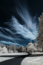 Pinecone in Infrared by Gary Randall, #sky