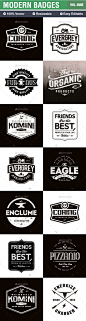 Badges and Logo | #badges #logo | Download: http://graphicriver.net/item/badges-and-logo/10449915?ref=ksioks: 