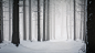 General 3840x2160 forest trees snow winter mist path nature