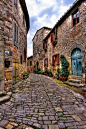 ollebosse:

Montefili, Greve, Chianti province, Tuscany, Italy. /ollebosse
