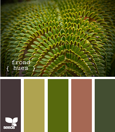 frond hues