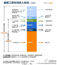 HerTZ采集到InfoGraphic信息图