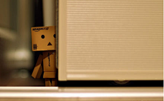 Lynn采集到Danbo 亚马逊小盒