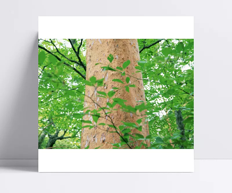 ca229adc2f550eccb0fcfd971fff058275cd1f9be478-bXeUDi