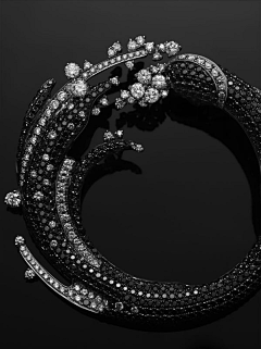 Vollmood采集到珠宝Jewelry