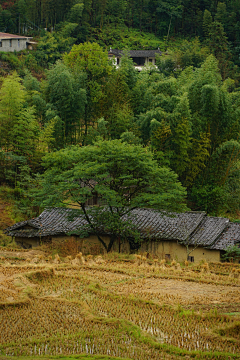 楼惊霄采集到风景参考