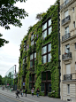 Mur végétal de Patrick Blanc au Musée du Quai Branly, Paris 7e (75)