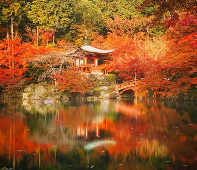 日本京都醍醐寺秋季图片