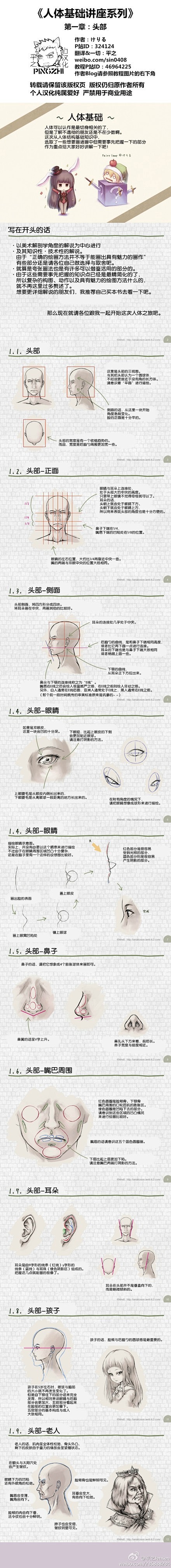 《人体基础讲座系列》共六章-头部、颈部、...