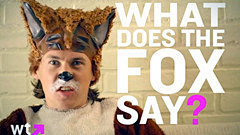 The Fox 狐狸叫-Ylvis 高清...