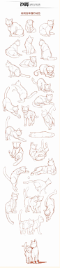 激萌猫咪的绘画教程~喵喵喵 How to draw a cute kitty！, chen zhan : 教你如何画激萌猫咪
从猫的身体结构到动态