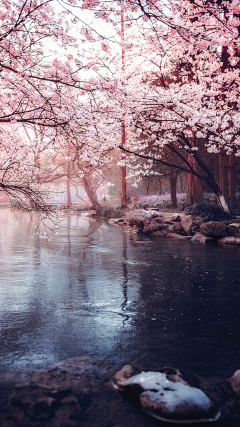 隔壁的妞儿采集到余生景