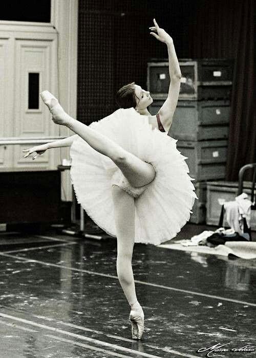 Svetlana Zakharova /...