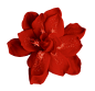 各种花朵类免抠PNG透明图片（第②集)