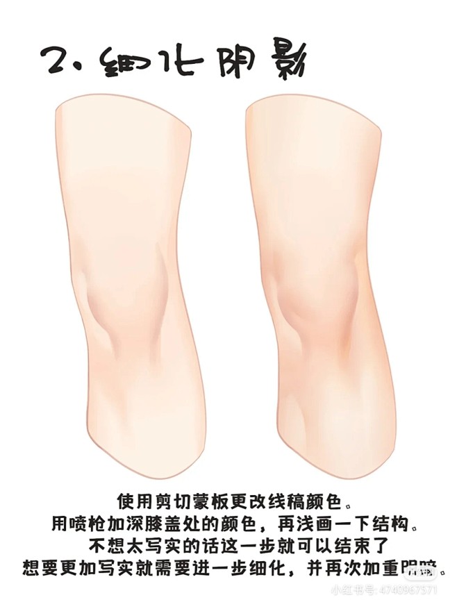 膝盖 (2)