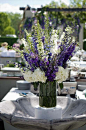 delphiniums + hydrangea