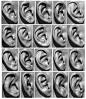 20 x Ear Scan Bundle : 20 x Male and female ear scans for quickly and easily creating realistic character models 

Data set includes ::

10 x Female ears in both OBJ and ZTL format

10 x Male ears in both OBJ and ZTL format

All meshes decimated to 100,00