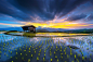 General 1280x854 rice paddy hut terraces water mountains clouds yellow blue farm sun rays nature landscape