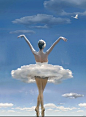 Ballet Ballet Ballet ... Flying Together