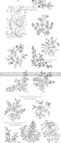 235个高清白描花卉水果植物线条矢量源文件ai eps可印刷黑白手绘-淘宝网