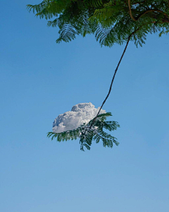 三渣采集到景