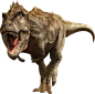 动物 恐龙  PNG