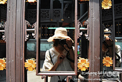 Zhanghan520采集到张家界-发上暑假旅游的